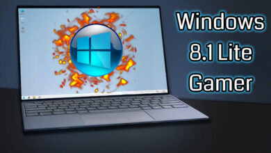 Windows 8.1 Lite Gamer